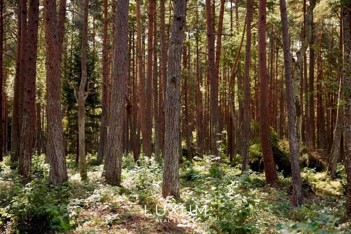 Viimsi vald, Pringi küla, Muraka tee 33