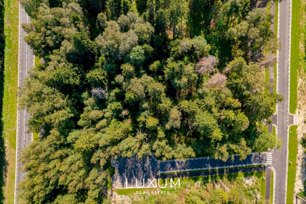 Viimsi vald, Pringi küla, Muraka tee 33