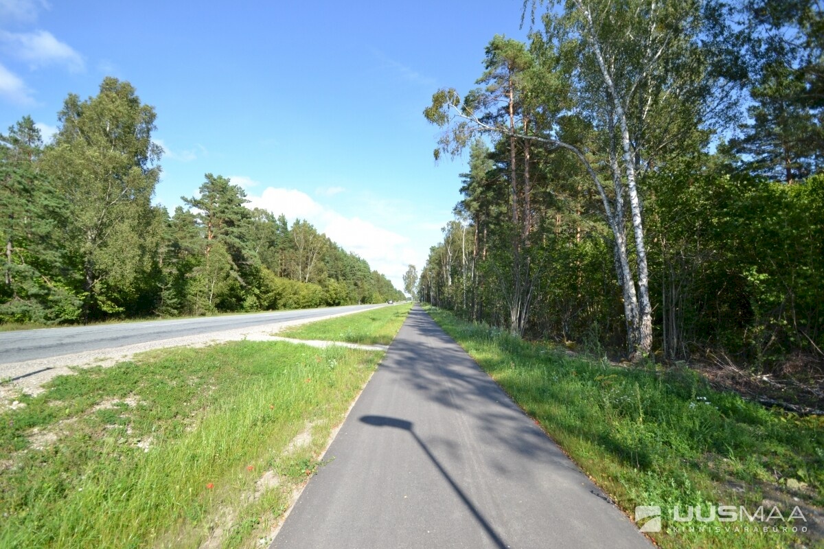 Saaremaa vald, Muratsi küla, Kaasiku,  Männiranna,  Rohumäe ja Liivavälja