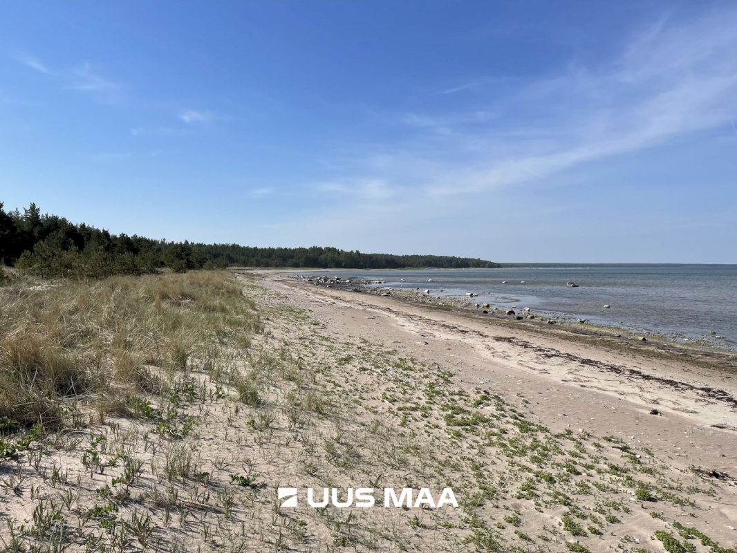 Saaremaa vald, Murika küla, Otsa