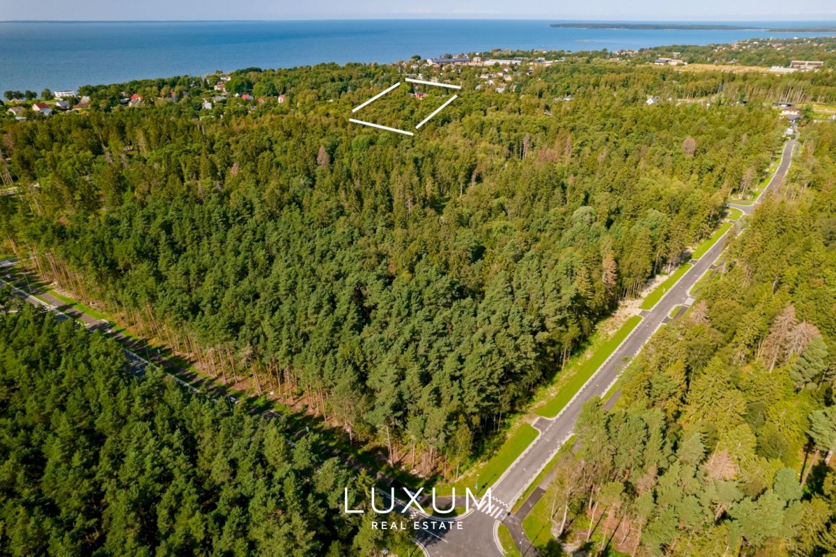 Viimsi vald, Pringi küla, Leesika tee 2