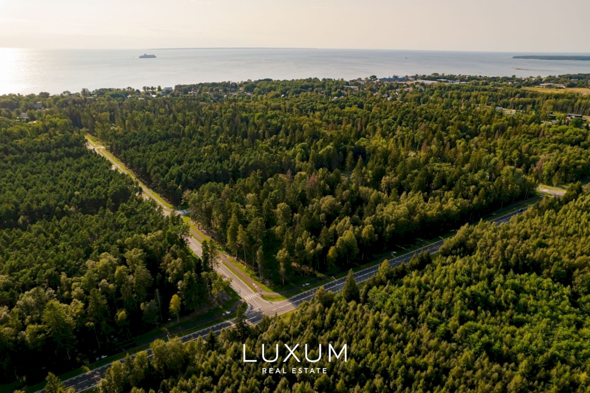 Viimsi vald, Pringi küla, Leesika tee 2