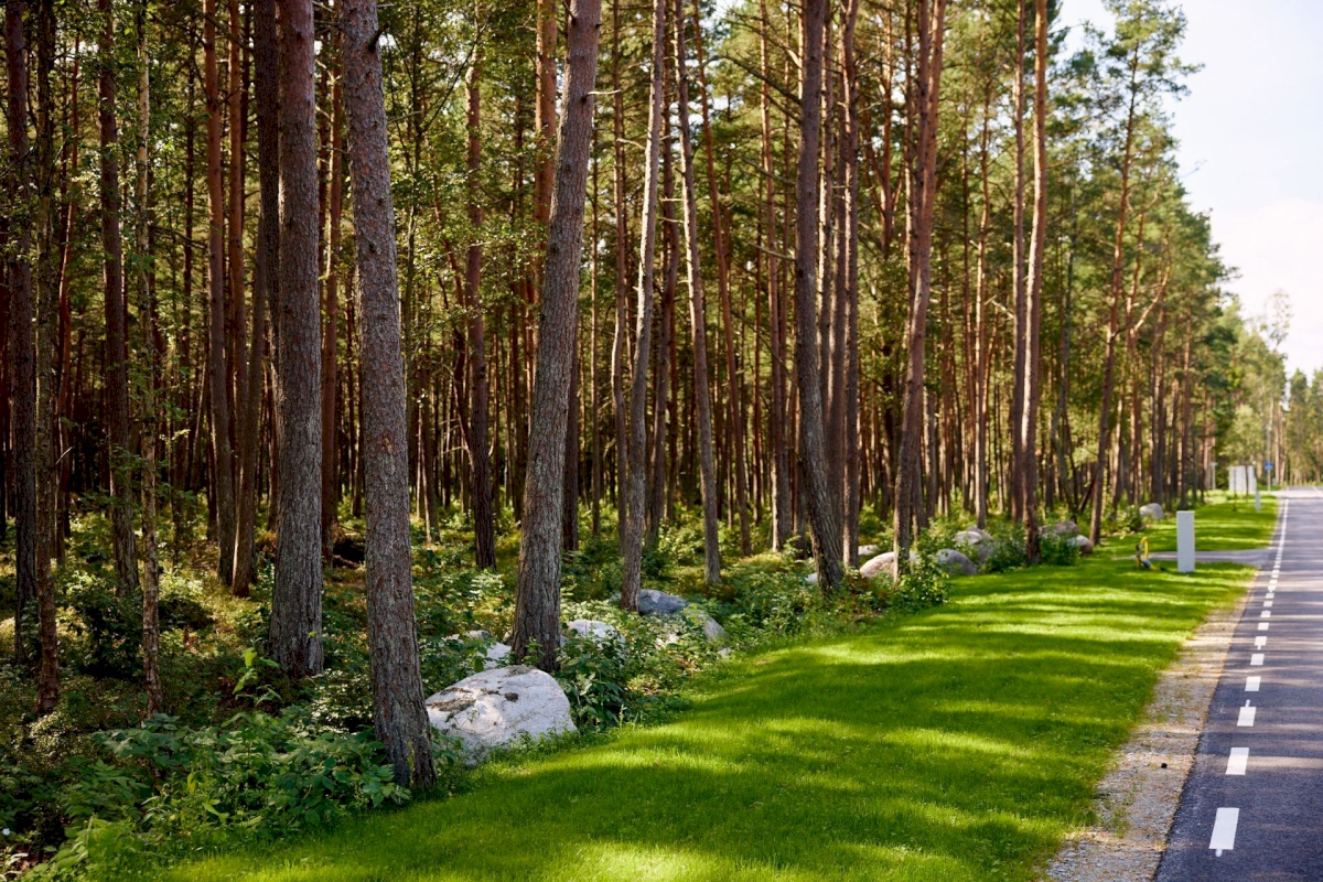 Viimsi vald, Pringi küla, Metsvaarika tee 1