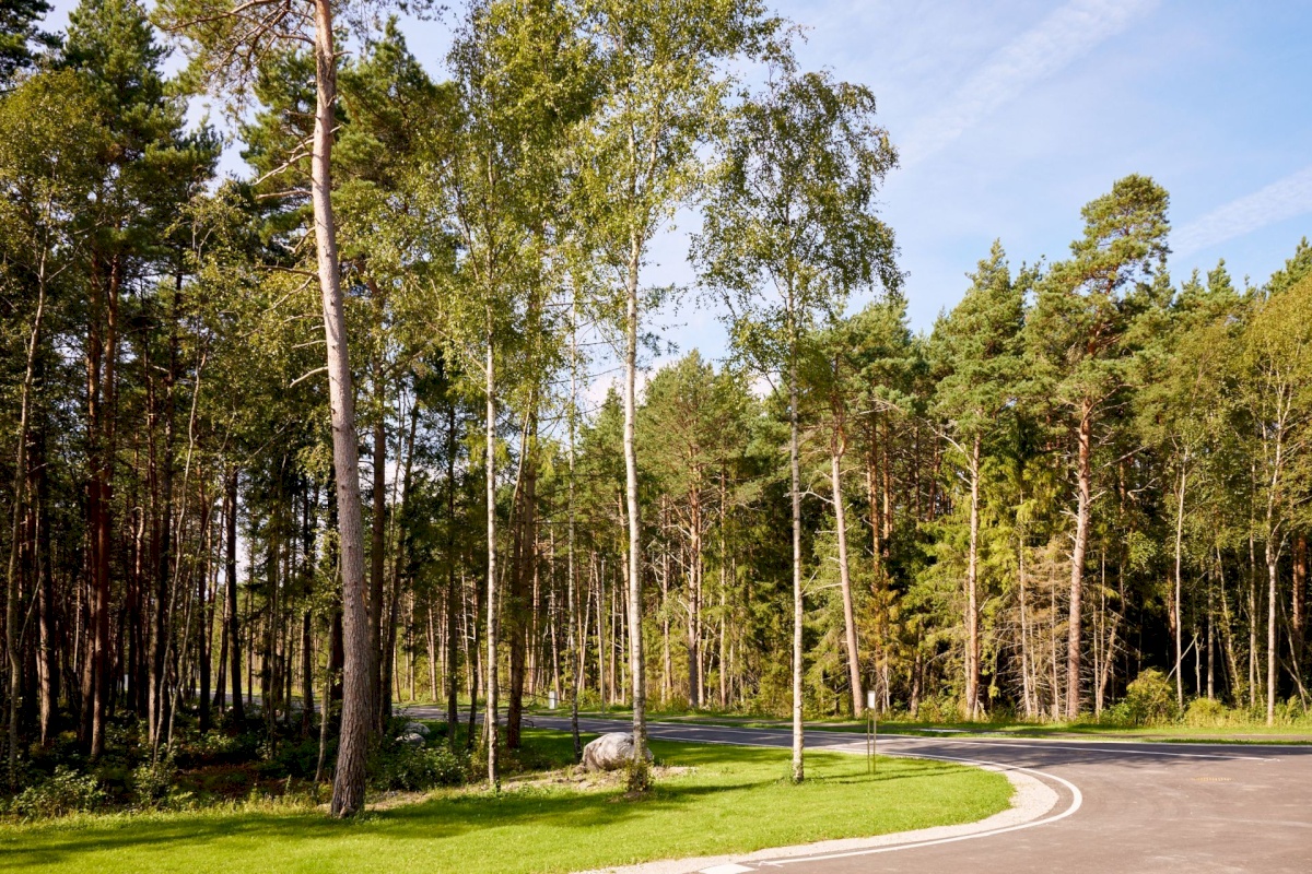 Viimsi vald, Pringi küla, Metsvaarika tee 1