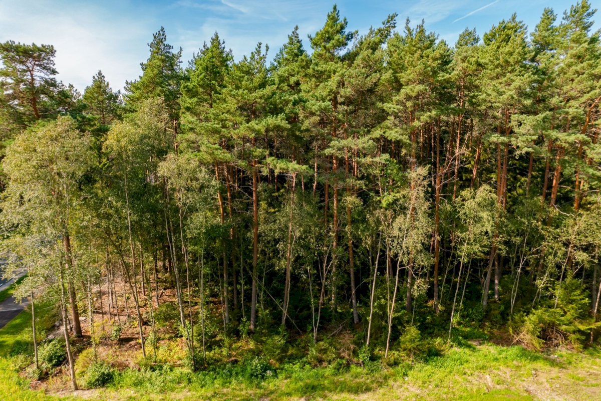 Viimsi vald, Pringi küla, Metsvaarika tee 1