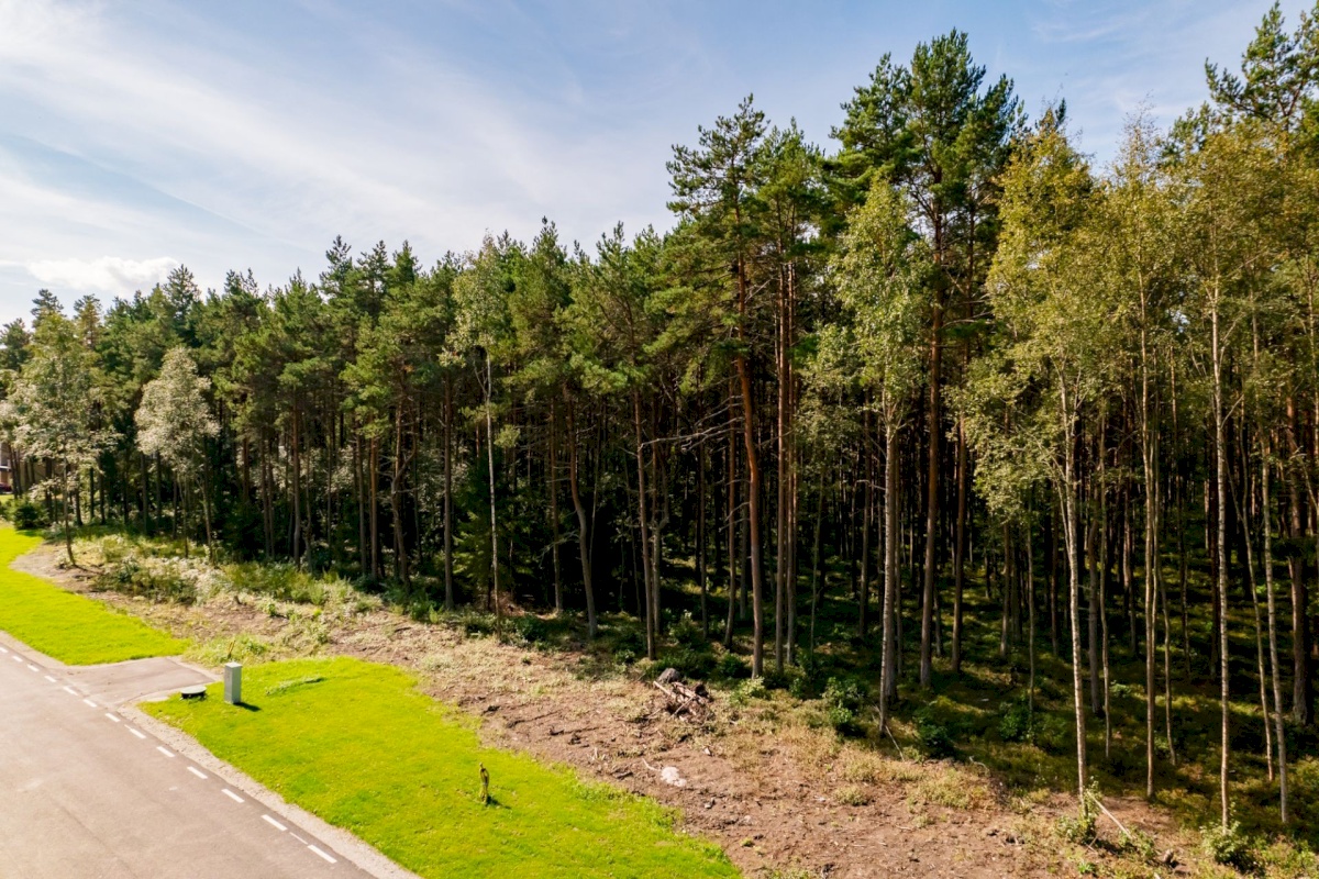 Viimsi vald, Pringi küla, Metsvaarika tee 1