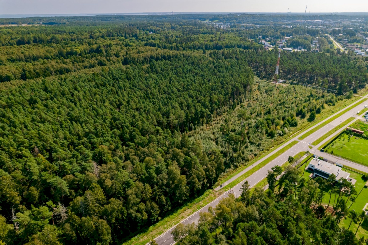 Viimsi vald, Pringi küla, Metsvaarika tee 1