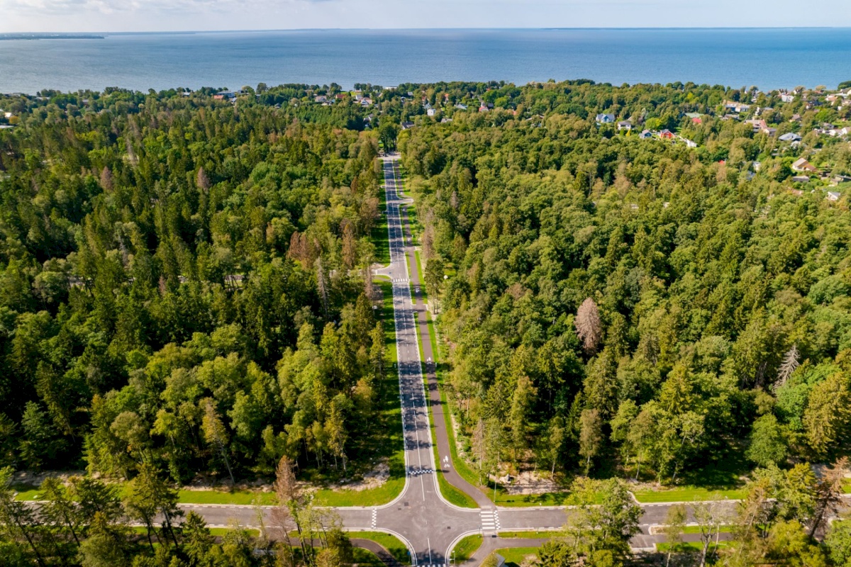 Viimsi vald, Pringi küla, Metsvaarika tee 1