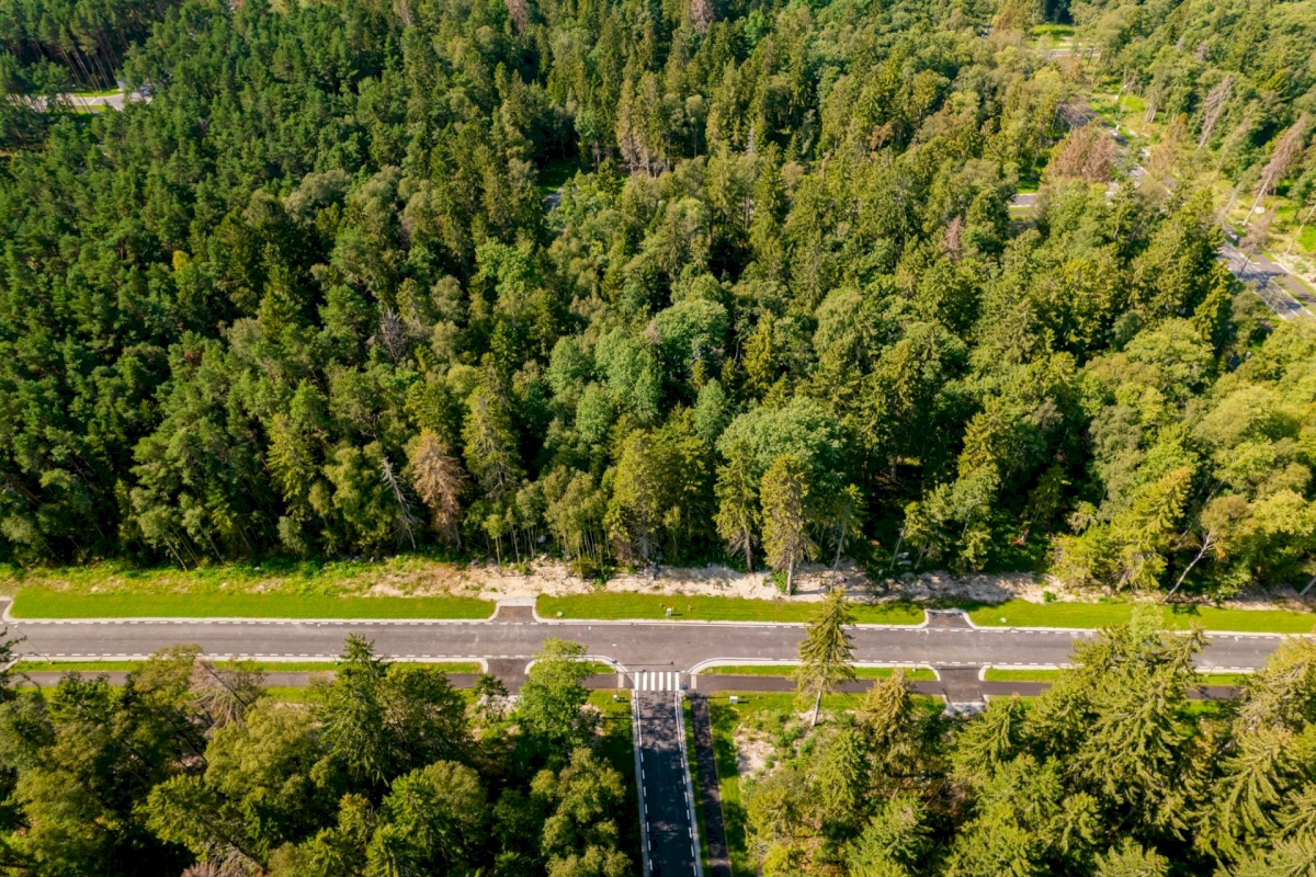 Viimsi vald, Pringi küla, Metsvaarika tee 1