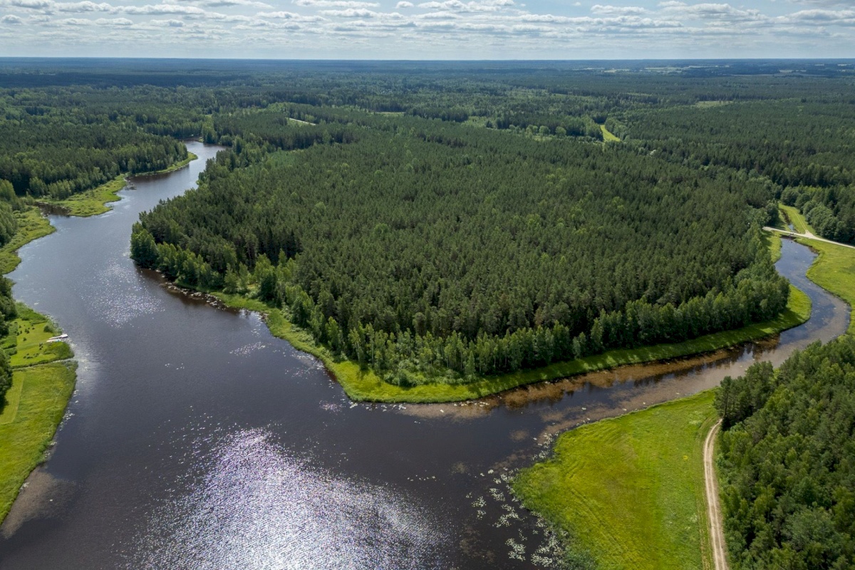 Anija vald, Vikipalu küla, Räägu tee 3