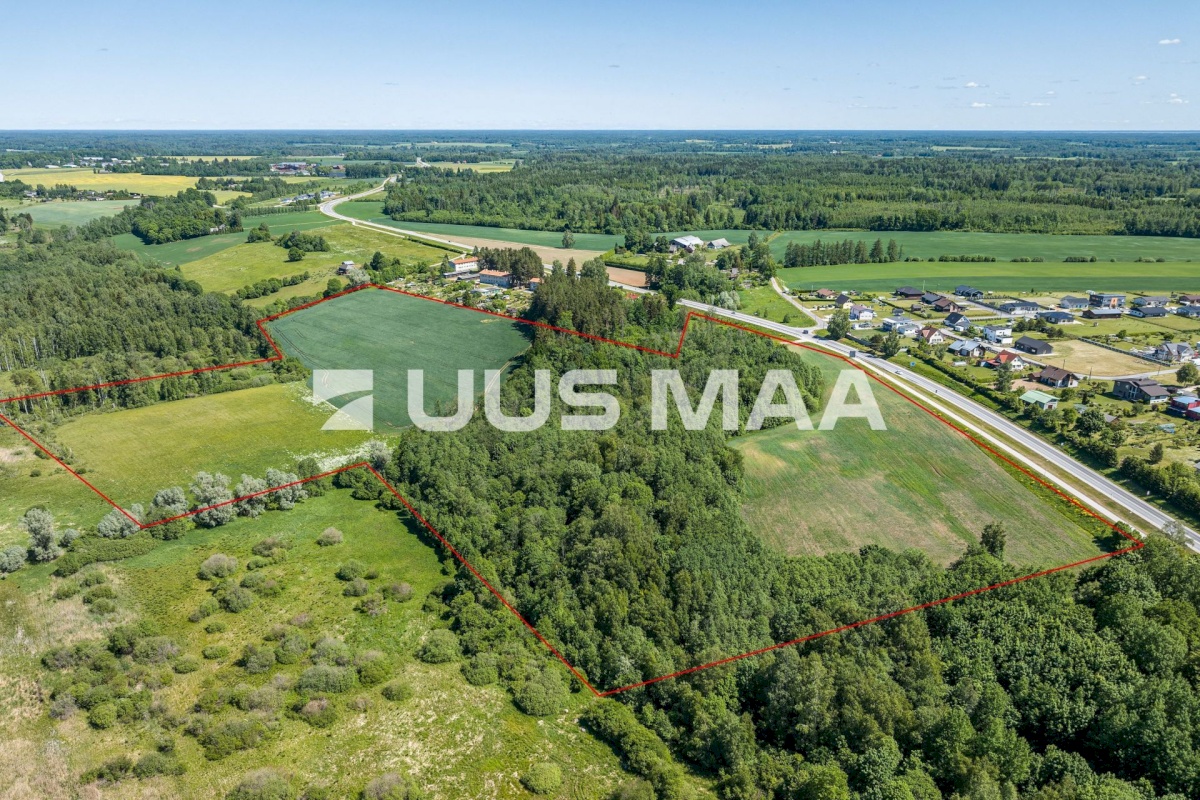 Viljandi vald, Vana-Võidu küla, Piima