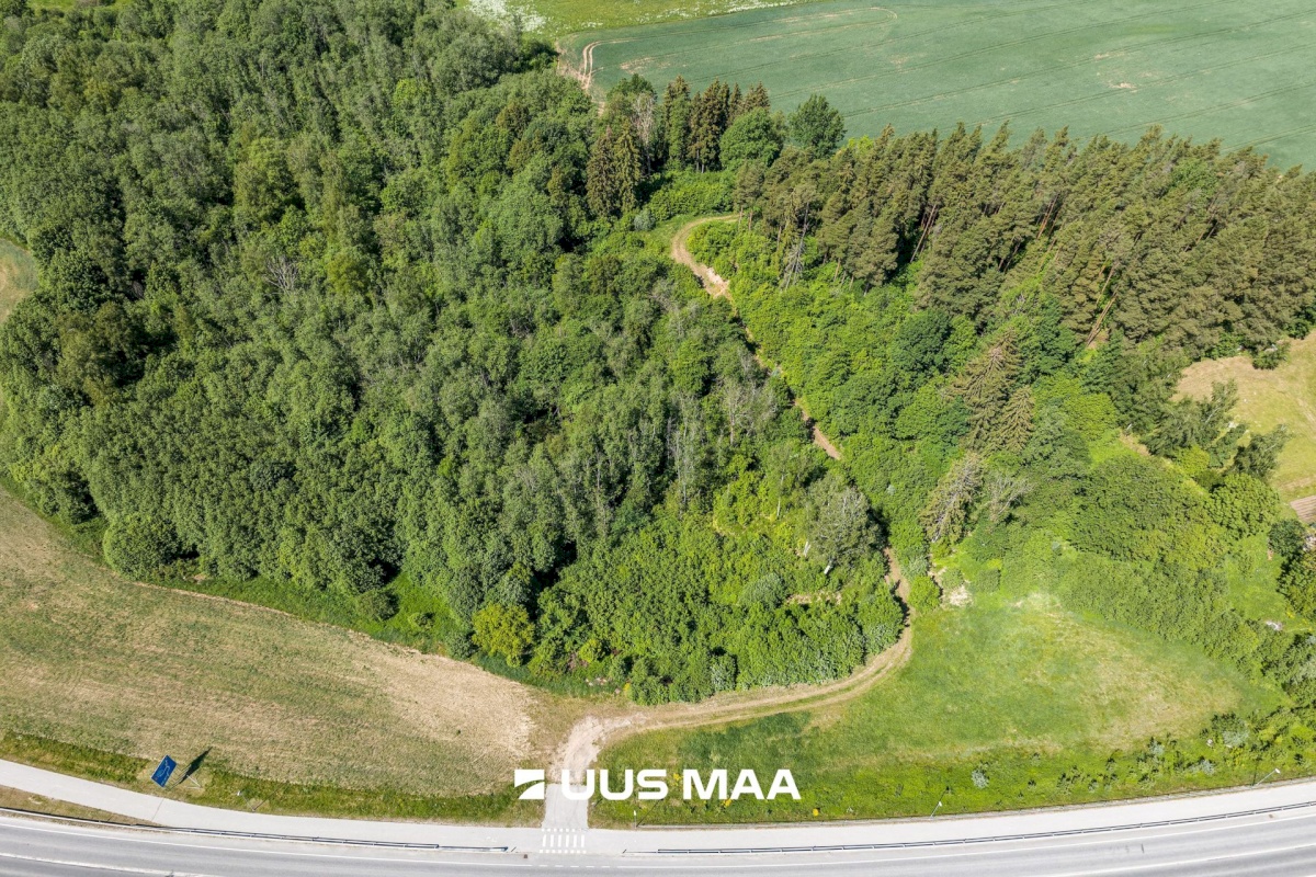 Viljandi vald, Vana-Võidu küla, Piima