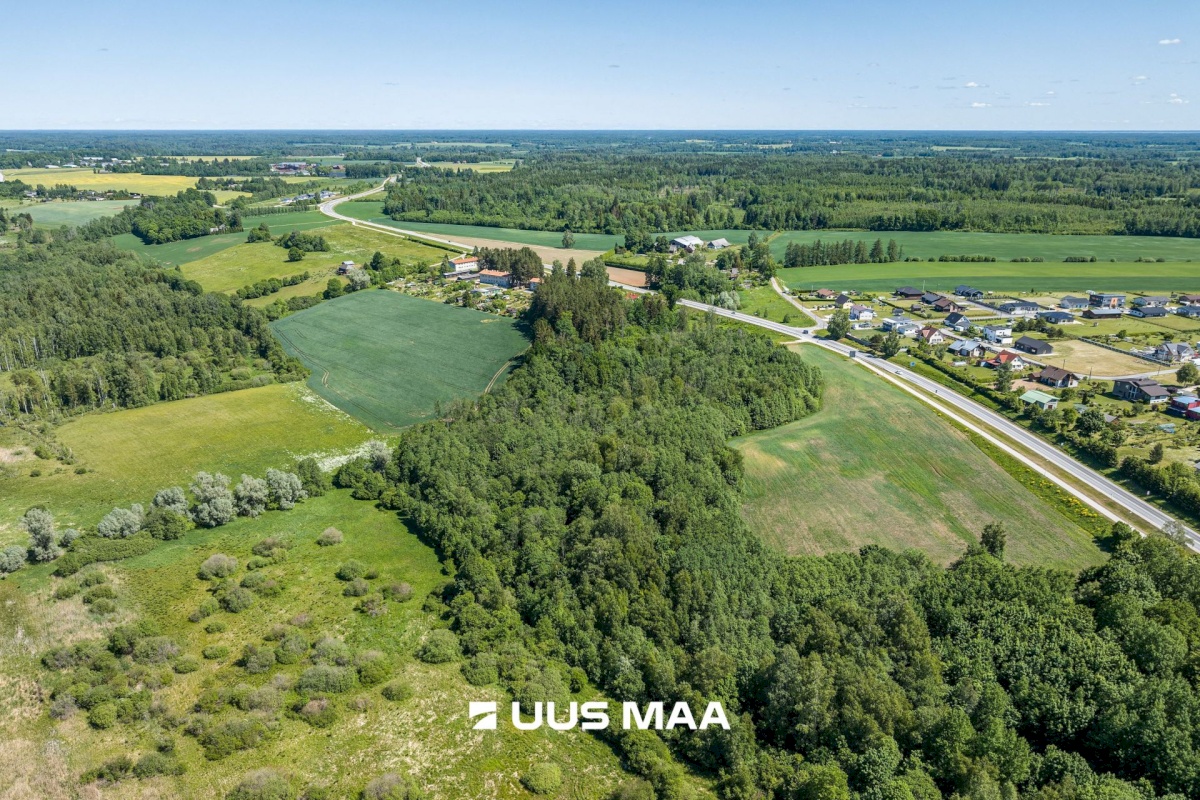 Viljandi vald, Vana-Võidu küla, Piima