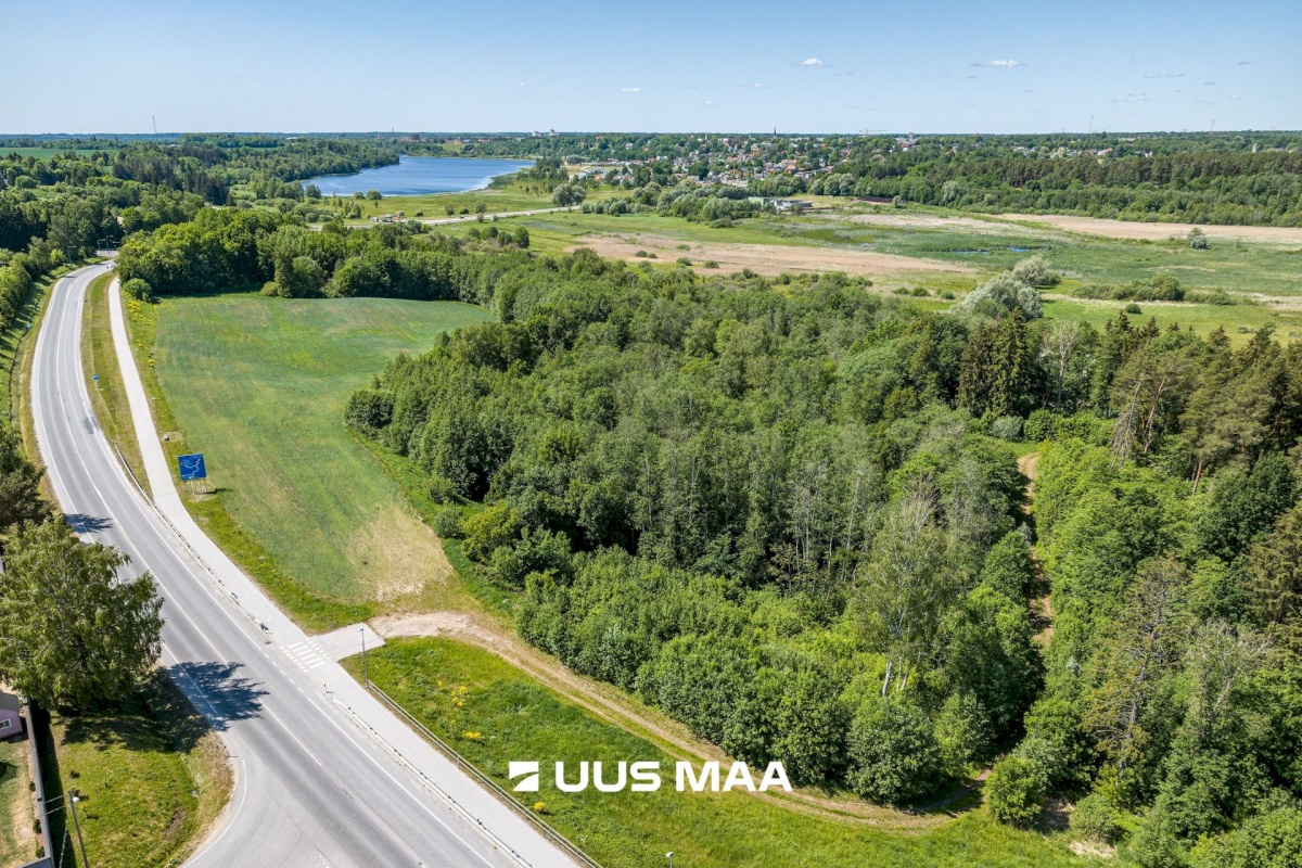 Viljandi vald, Vana-Võidu küla, Piima