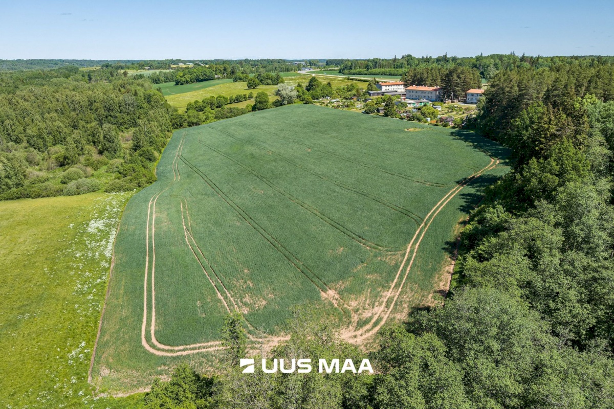 Viljandi vald, Vana-Võidu küla, Piima