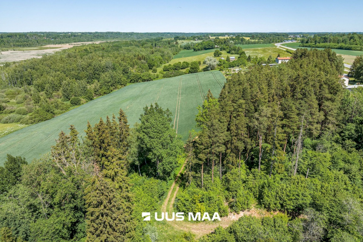 Viljandi vald, Vana-Võidu küla, Piima
