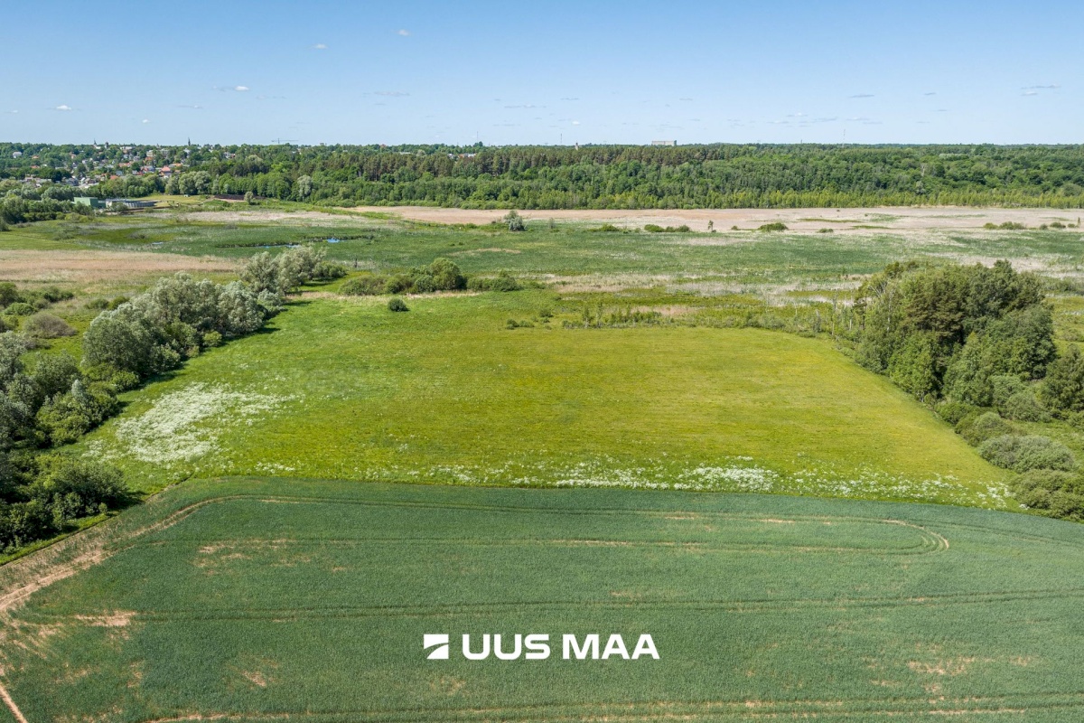 Viljandi vald, Vana-Võidu küla, Piima