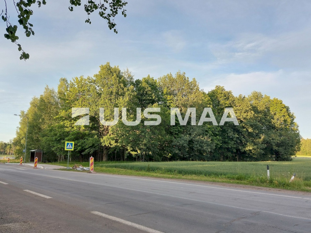 Viljandi vald, Sultsi küla, Sultsimetsa
