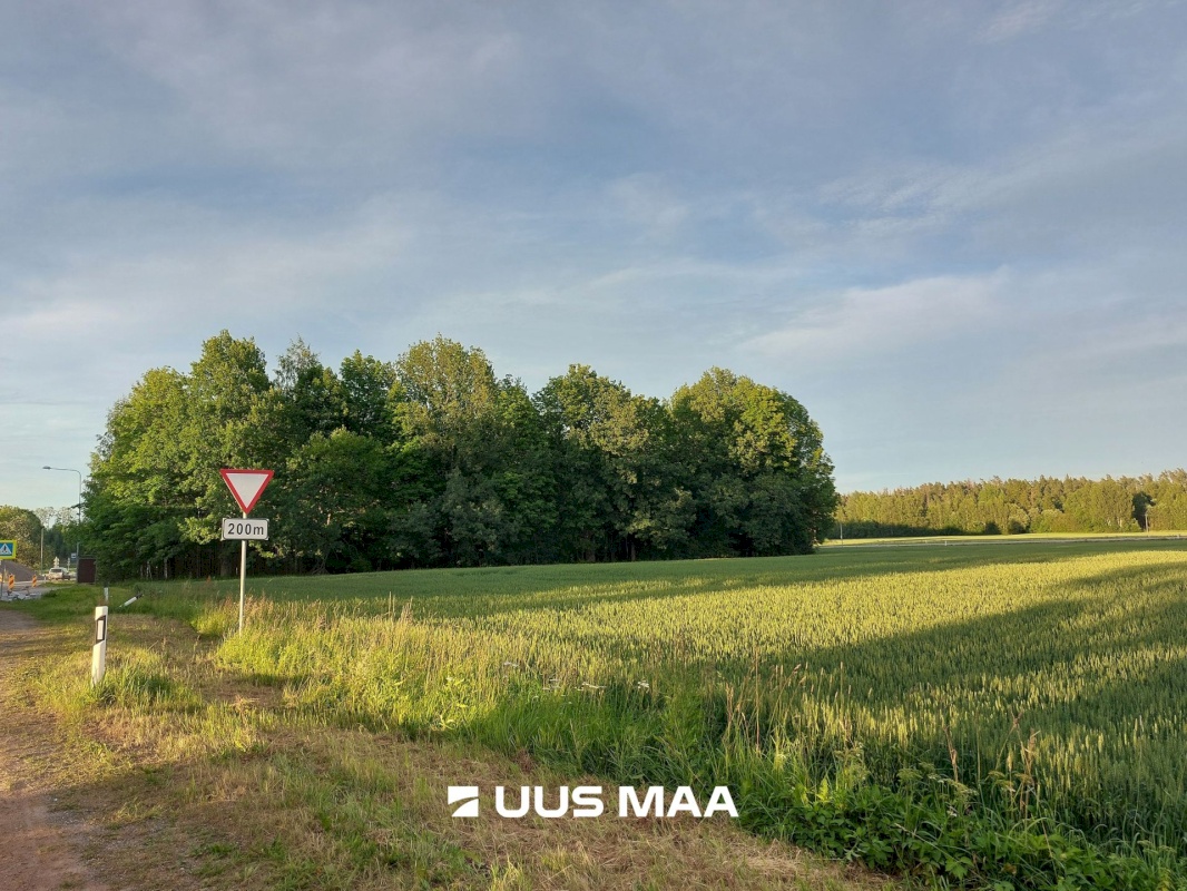 Viljandi vald, Sultsi küla, Sultsimetsa