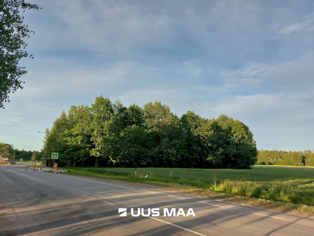 Viljandi vald, Sultsi küla, Sultsimetsa