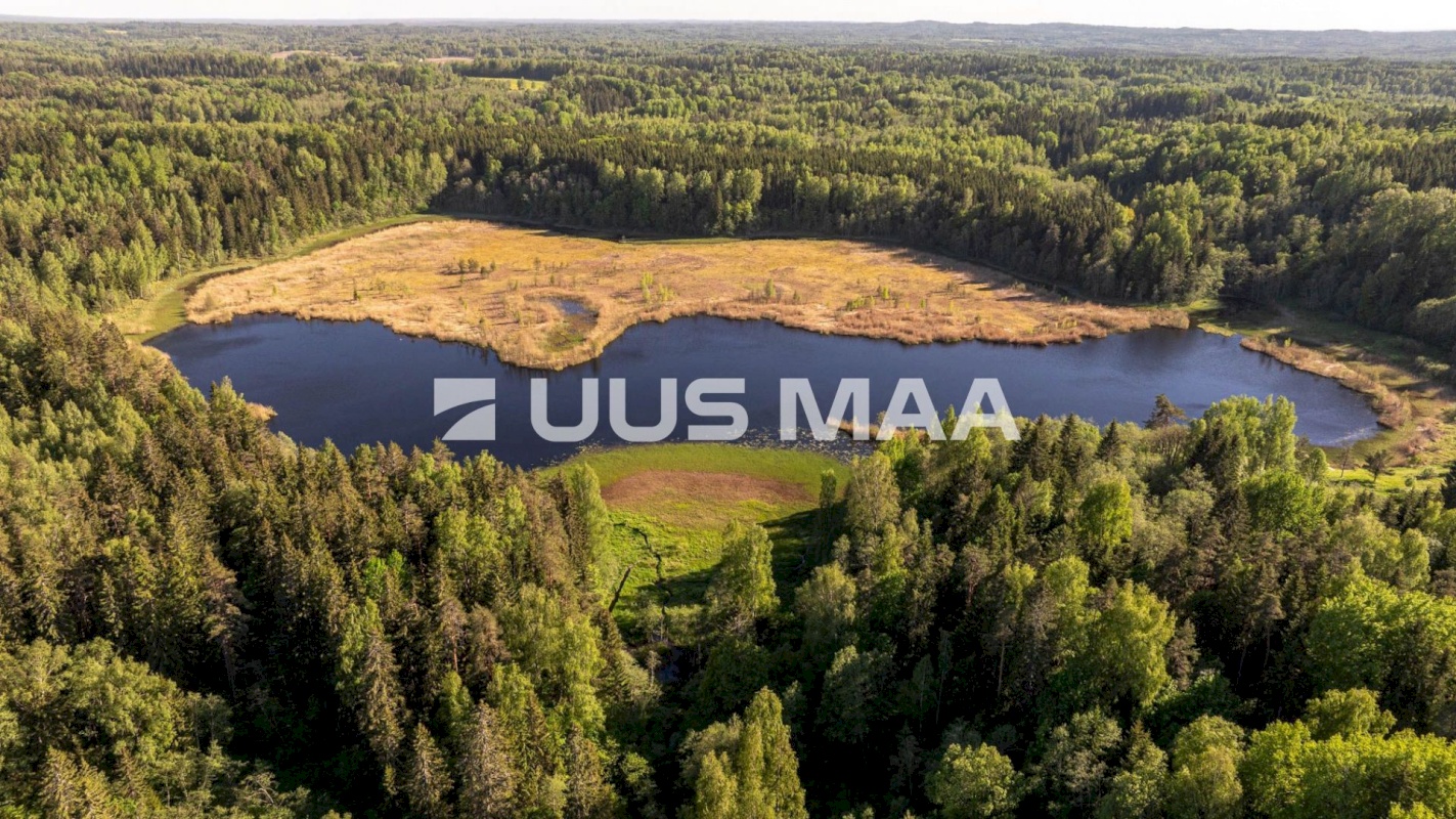 Rõuge vald, Mahtja küla, Tallikese-Saare