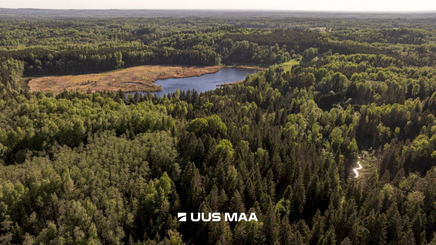 Rõuge vald, Mahtja küla, Tallikese-Saare