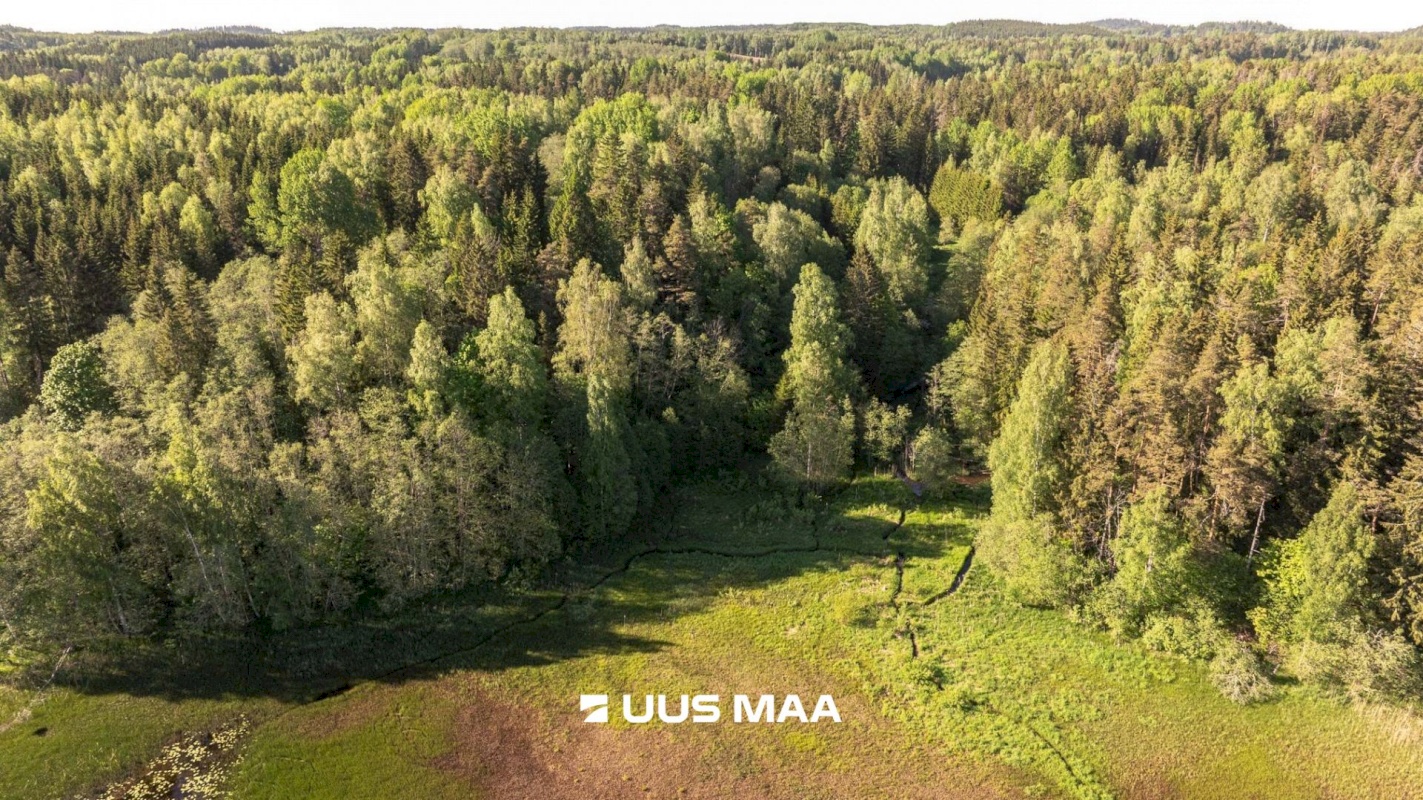 Rõuge vald, Mahtja küla, Tallikese-Saare