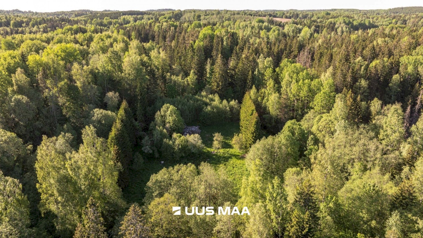 Rõuge vald, Mahtja küla, Tallikese-Saare