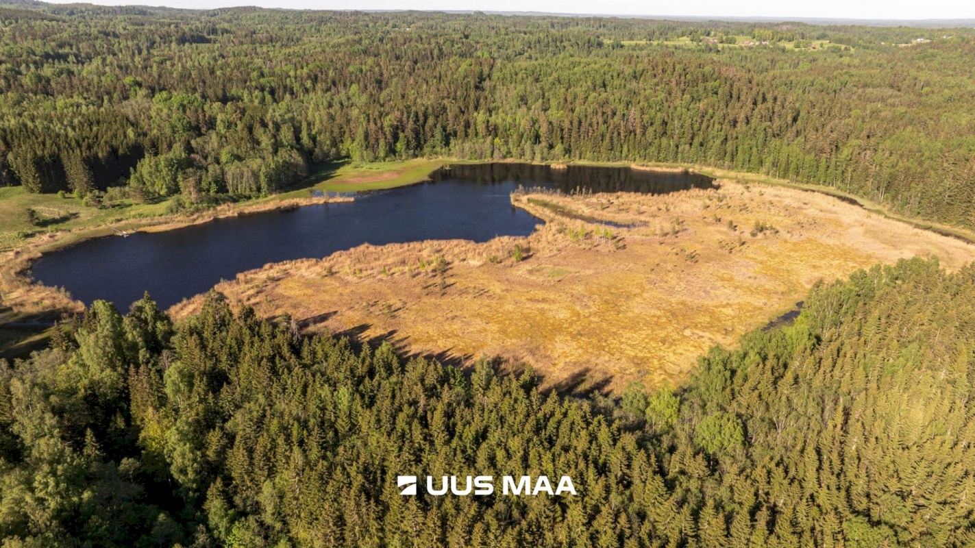 Rõuge vald, Mahtja küla, Tallikese-Saare