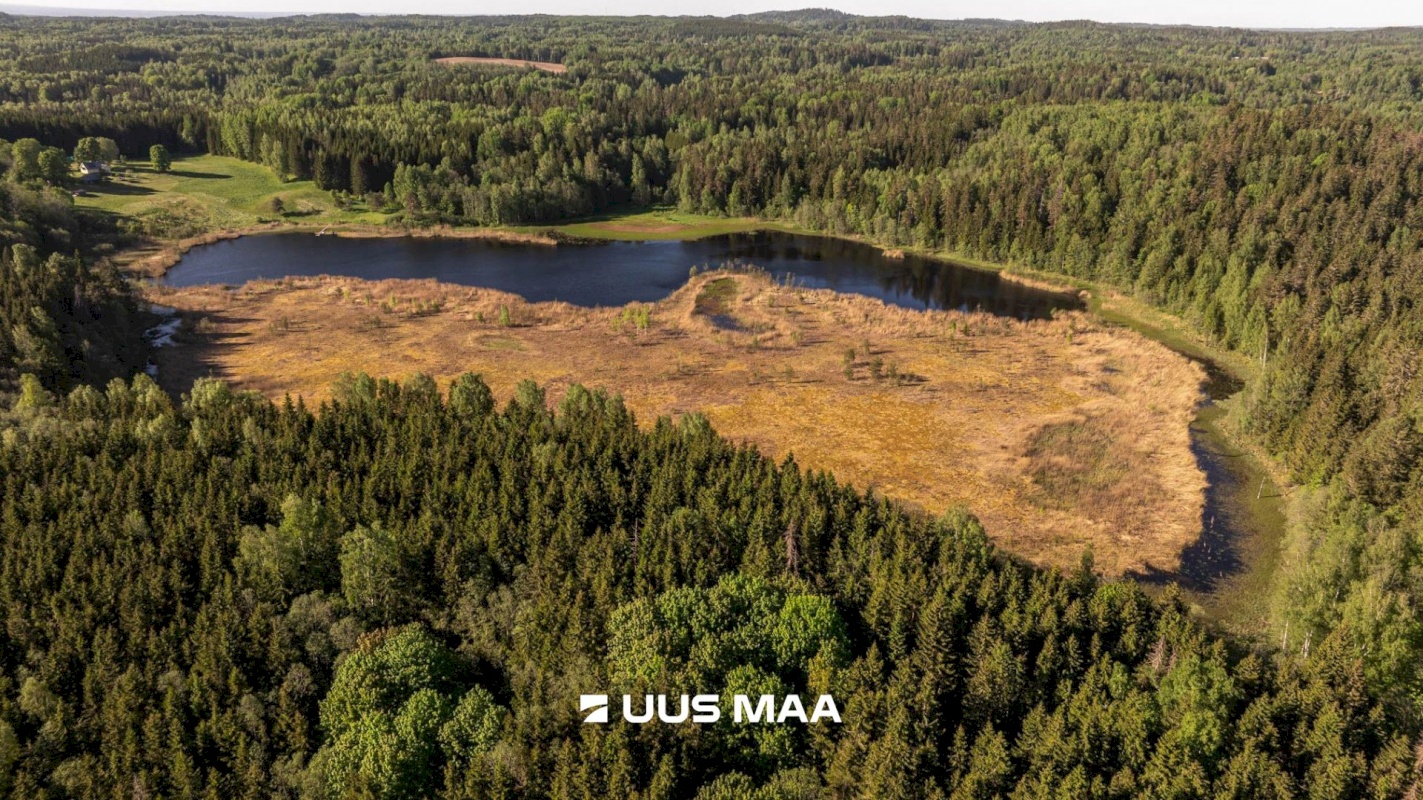 Rõuge vald, Mahtja küla, Tallikese-Saare