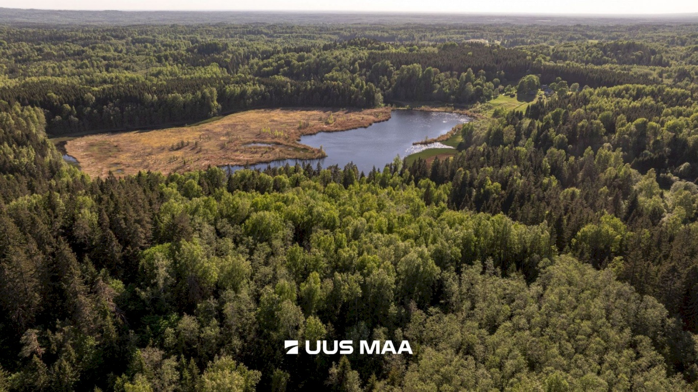 Rõuge vald, Mahtja küla, Tallikese-Saare