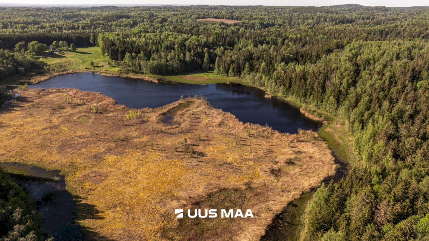 Rõuge vald, Mahtja küla, Tallikese-Saare