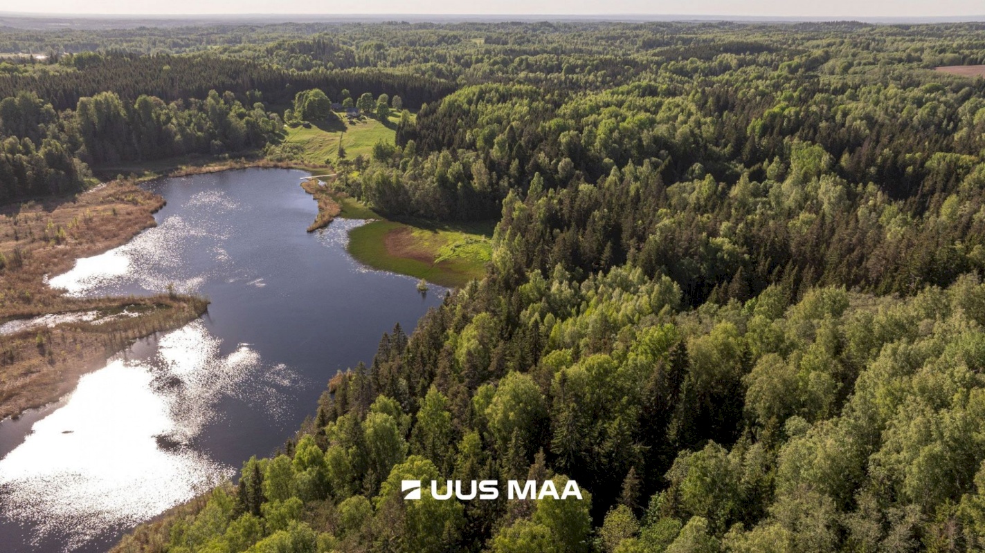 Rõuge vald, Mahtja küla, Tallikese-Saare