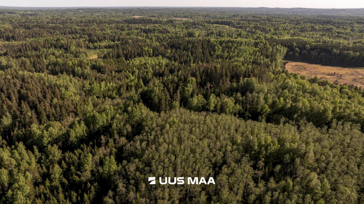 Rõuge vald, Mahtja küla, Tallikese-Saare