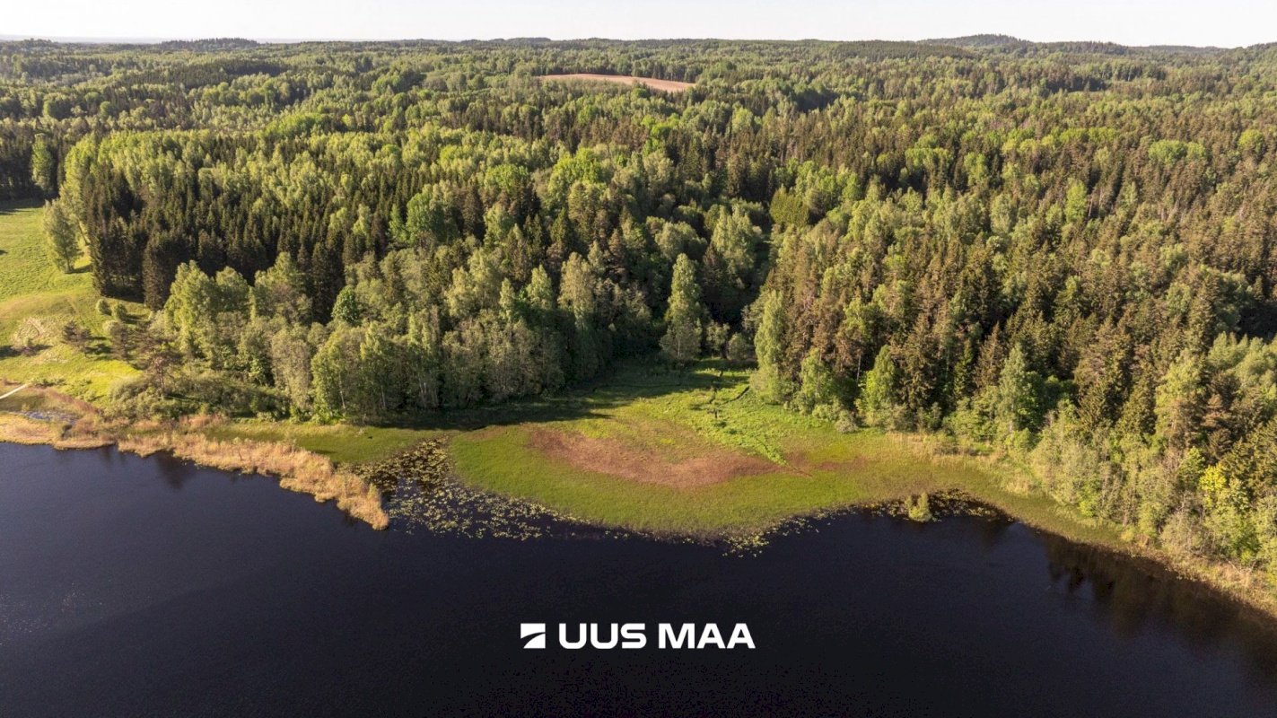 Rõuge vald, Mahtja küla, Tallikese-Saare