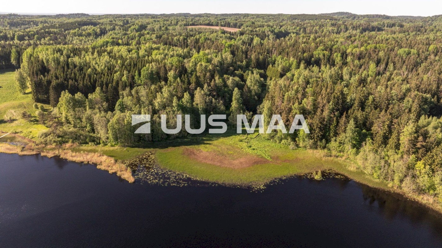 Rõuge vald, Mahtja küla, Tallikese-Saare