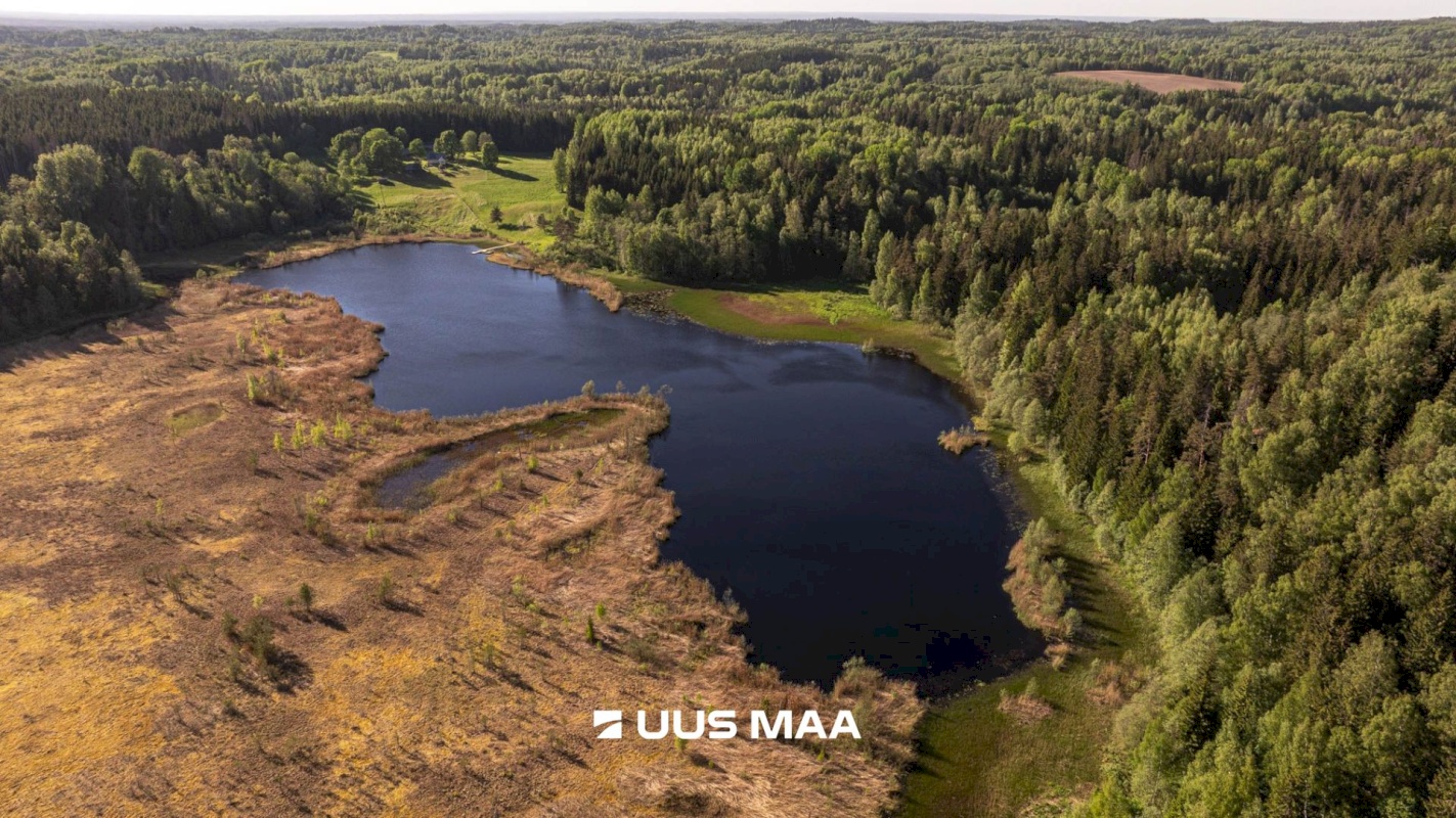 Rõuge vald, Mahtja küla, Tallikese-Saare