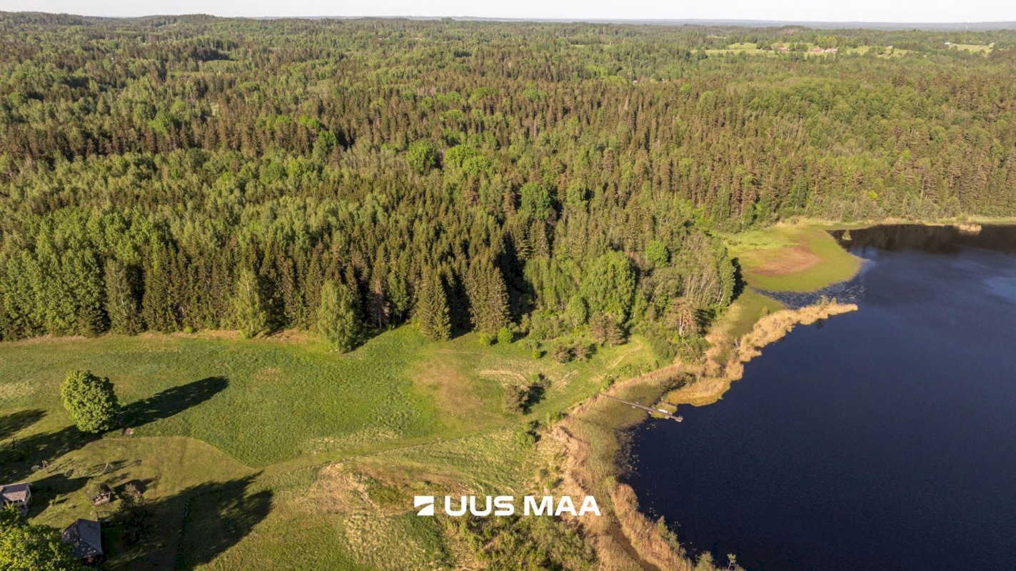 Rõuge vald, Mahtja küla, Tallikese-Saare