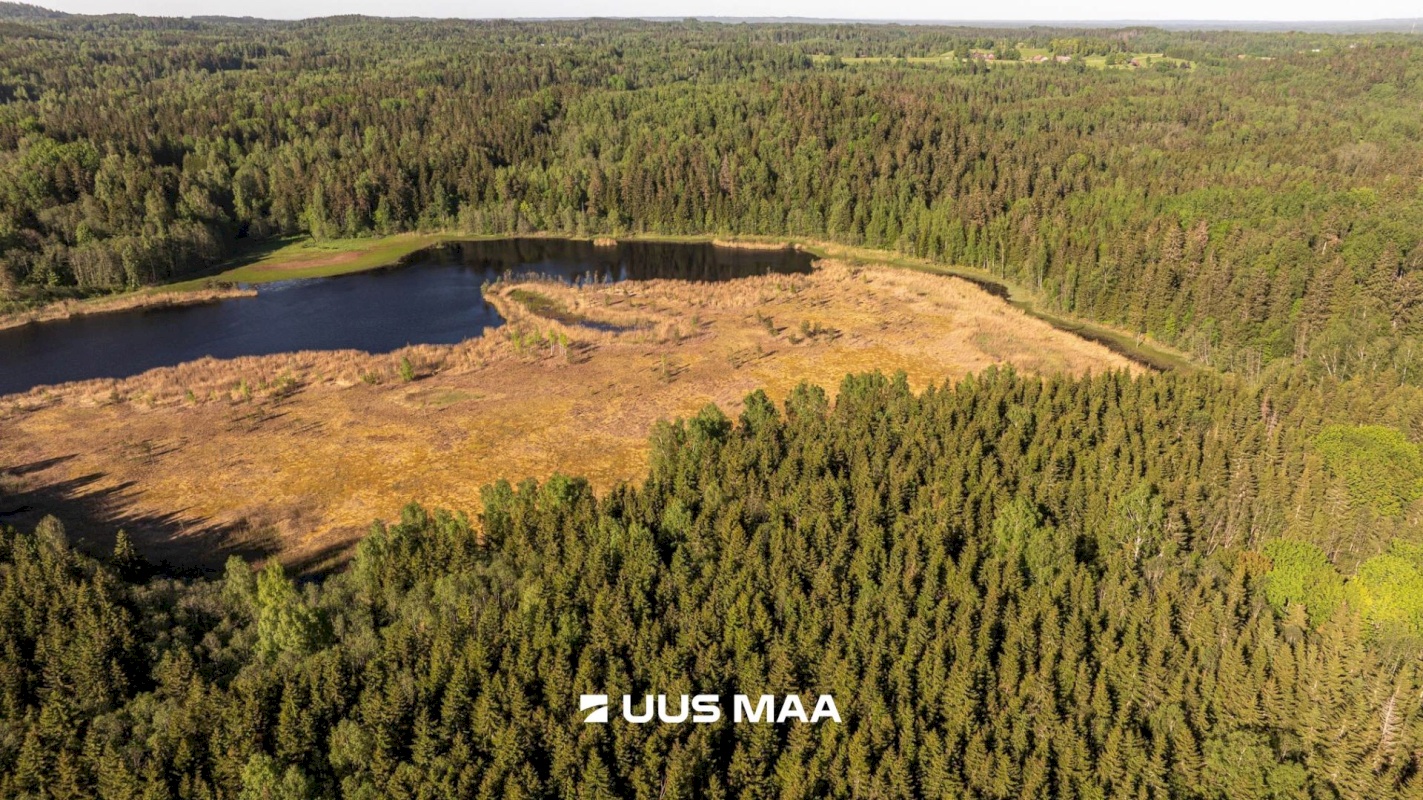 Rõuge vald, Mahtja küla, Tallikese-Saare