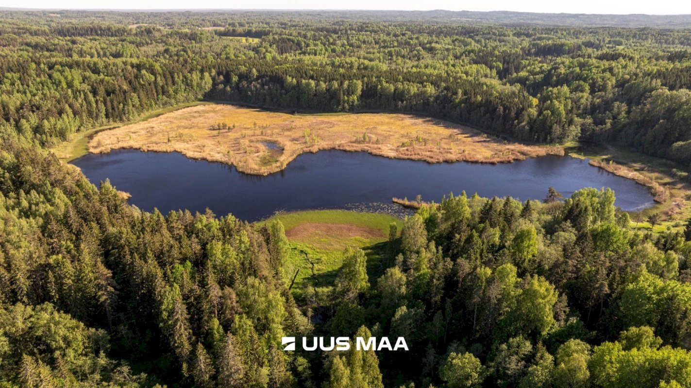 Rõuge vald, Mahtja küla, Tallikese-Saare