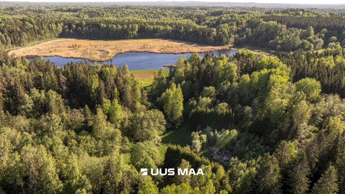 Rõuge vald, Mahtja küla, Tallikese-Saare