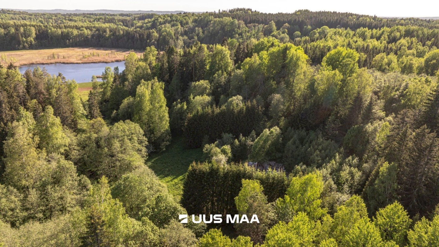 Rõuge vald, Mahtja küla, Tallikese-Saare