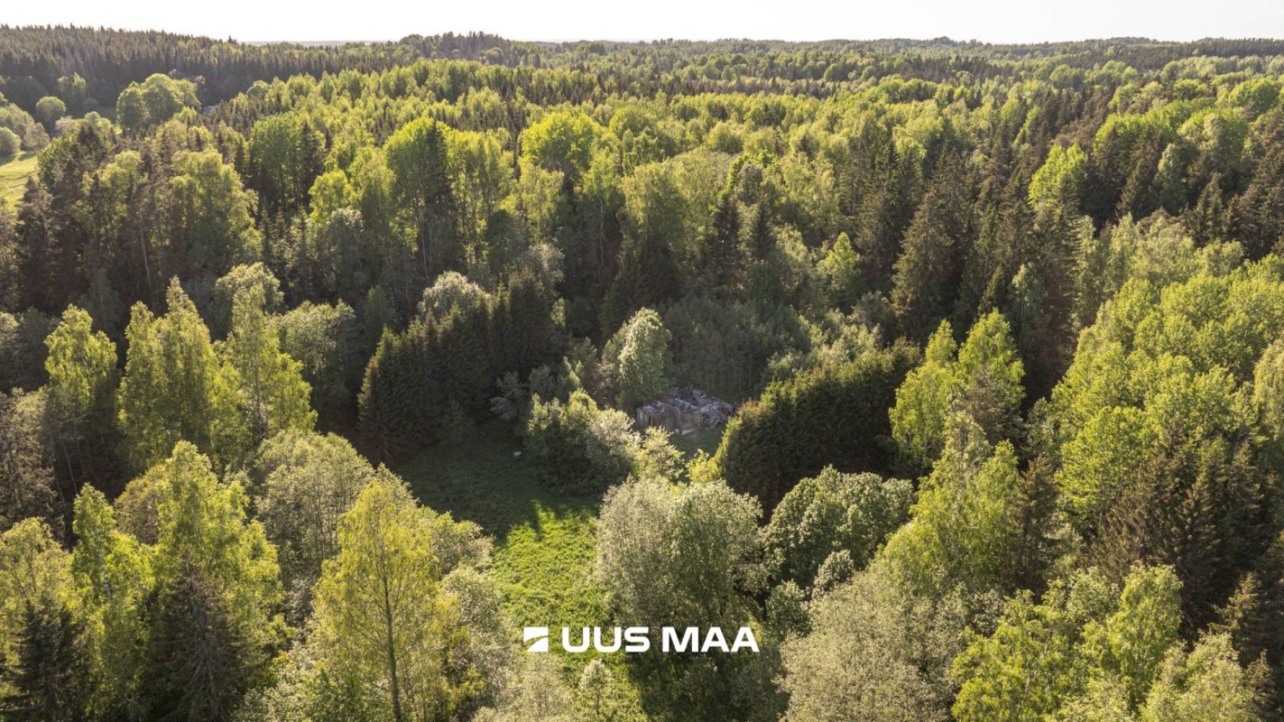 Rõuge vald, Mahtja küla, Tallikese-Saare