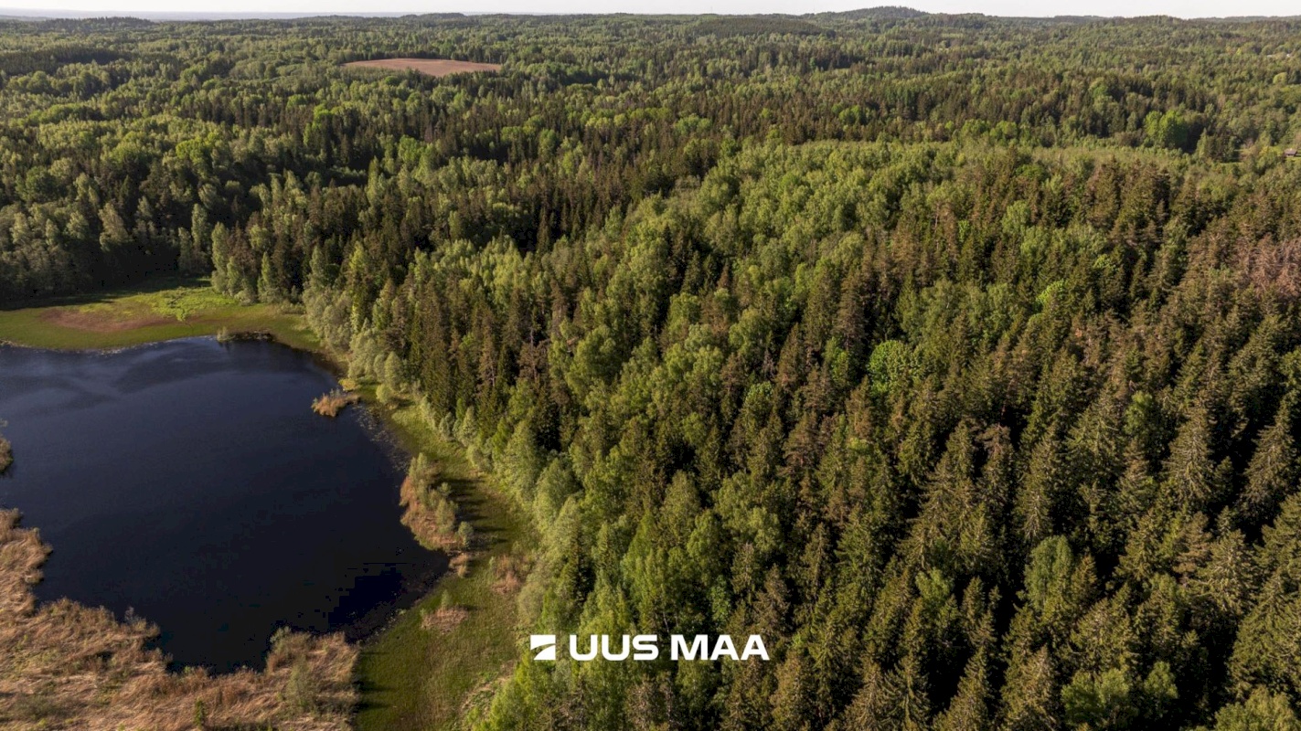 Rõuge vald, Mahtja küla, Tallikese-Saare