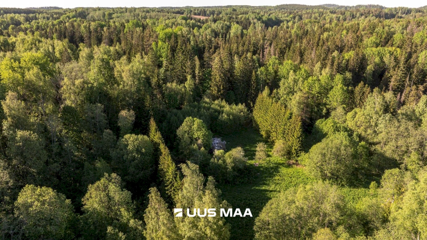 Rõuge vald, Mahtja küla, Tallikese-Saare