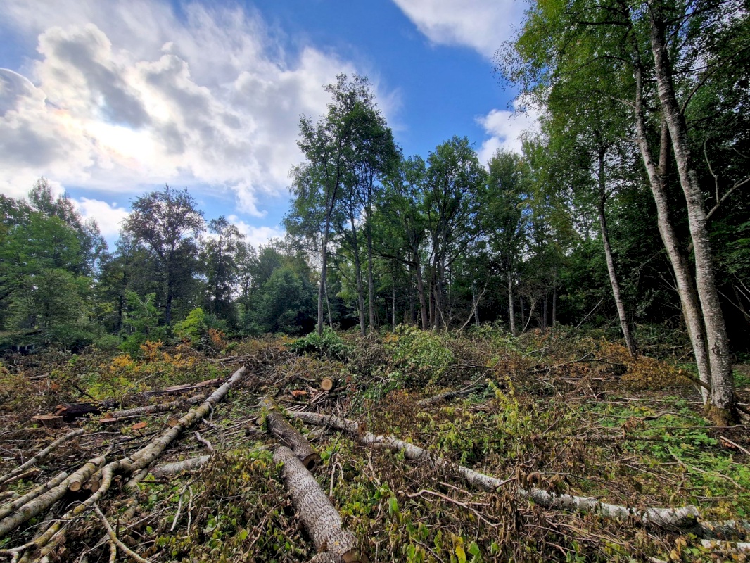 Pärnu linn, Audru alevik, Pihlaka 15a