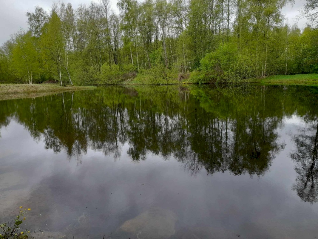 Põhja-Pärnumaa vald, Vee küla, Saugametsa