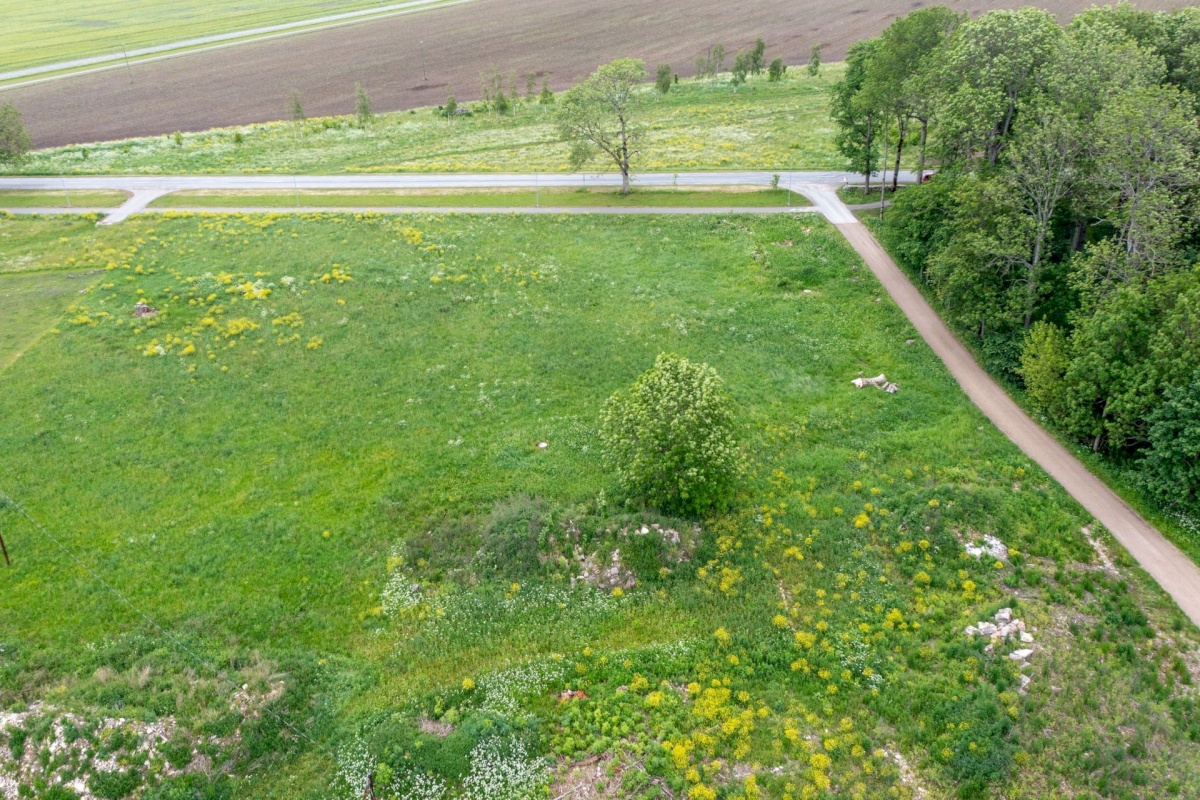 Paide linn, Viisu küla, Oja