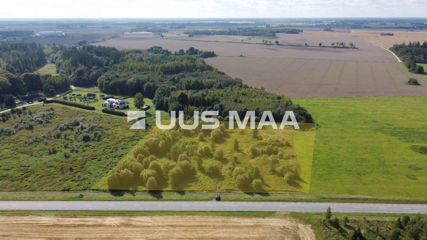 Haljala vald, Haljala alevik, Metsanurga