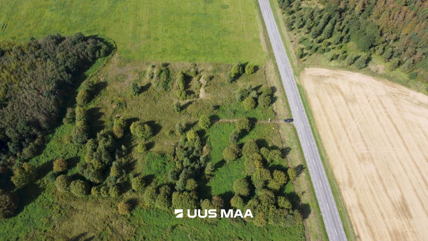 Haljala vald, Haljala alevik, Metsanurga